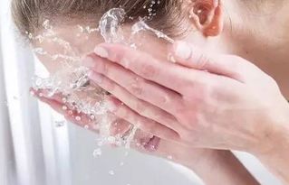 办公室装修公司：滴水观音养殖技巧，让你的观音活更久,办公室装修公司：滴水观音养殖技巧，让你的观音活更久,第1张