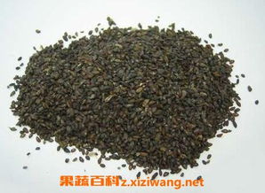 车前子的功效与作用及食用方法(车前子的功效作用与禁忌),第3张 车前子的功效与作用及食用方法(车前子的功效作用与禁忌),车前子的功效与作用及食用方法(车前子的功效作用与禁忌),第3张