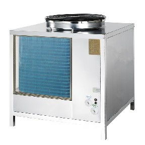 千里马多少钱(千里马多少钱1斤),第1张 千里马多少钱(千里马多少钱1斤),千里马多少钱(千里马多少钱1斤),第1张