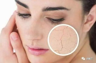 办公室设计上海:从“荣誉生产商”到“领先品牌”——日立中央空调的品牌之路,第1张 办公室设计上海:从“荣誉生产商”到“领先品牌”——日立中央空调的品牌之路,办公室设计上海:从“荣誉生产商”到“领先品牌”——日立中央空调的品牌之路,第1张