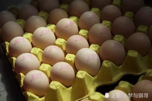 火锅店装修（火锅店装修要多少钱）,火锅店装修（火锅店装修要多少钱）,第1张