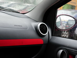 板栗怎么煮才好剥皮(板栗怎么煮才好剥皮不会黑),第2张 板栗怎么煮才好剥皮(板栗怎么煮才好剥皮不会黑),板栗怎么煮才好剥皮(板栗怎么煮才好剥皮不会黑),第2张