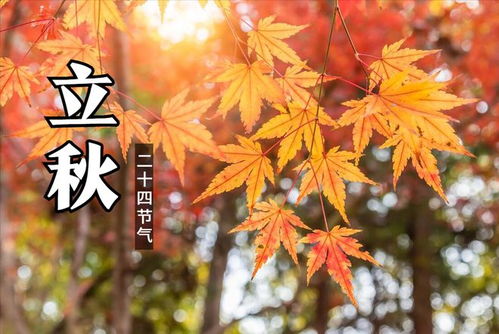 立秋皮肤的保养知识(立秋皮肤的保养知识是什么),第3张 立秋皮肤的保养知识(立秋皮肤的保养知识是什么),立秋皮肤的保养知识(立秋皮肤的保养知识是什么),第3张