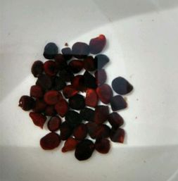 办公室装饰:为何沁园直饮水机让你健康更受保障,第2张 办公室装饰:为何沁园直饮水机让你健康更受保障,办公室装饰:为何沁园直饮水机让你健康更受保障,第2张