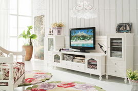 客厅植物摆放风水(客厅适合养什么花和植物好风水),第3张 客厅植物摆放风水(客厅适合养什么花和植物好风水),客厅植物摆放风水(客厅适合养什么花和植物好风水),第3张