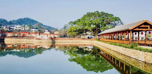 室内装修:解锁九阳料理机,让美食从家庭厨房走进主流餐桌,第3张 室内装修:解锁九阳料理机,让美食从家庭厨房走进主流餐桌,室内装修:解锁九阳料理机,让美食从家庭厨房走进主流餐桌,第3张