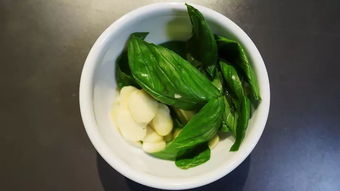 罗勒叶在中国叫什么(泰国的罗勒叶在中国叫什么),第1张 罗勒叶在中国叫什么(泰国的罗勒叶在中国叫什么),罗勒叶在中国叫什么(泰国的罗勒叶在中国叫什么),第1张