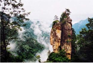 椰子之乡（椰子之乡是哪个城市）,椰子之乡（椰子之乡是哪个城市）,第3张