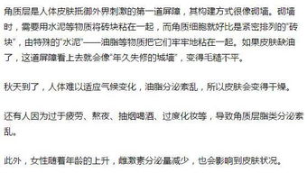 苦茶的作用(苦茶的作用是什么),第2张 苦茶的作用(苦茶的作用是什么),苦茶的作用(苦茶的作用是什么),第2张