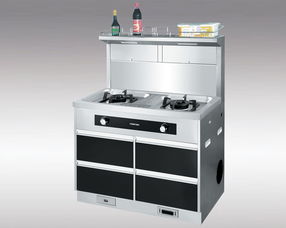 靠前集成环保灶(集成环保灶的优缺点),第3张 靠前集成环保灶(集成环保灶的优缺点),靠前集成环保灶(集成环保灶的优缺点),第3张