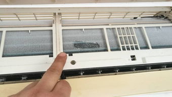 黑芝麻的吃法与做法(黑芝麻的吃法与做法窍门),第1张 黑芝麻的吃法与做法(黑芝麻的吃法与做法窍门),黑芝麻的吃法与做法(黑芝麻的吃法与做法窍门),第1张