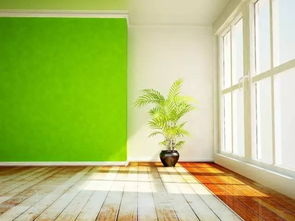 建筑涂料(建筑涂料和家装涂料有什么不同),第3张 建筑涂料(建筑涂料和家装涂料有什么不同),建筑涂料(建筑涂料和家装涂料有什么不同),第3张