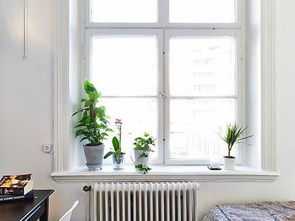 北欧门窗(北欧窗户造型图片),第1张 北欧门窗(北欧窗户造型图片),北欧门窗(北欧窗户造型图片),第1张