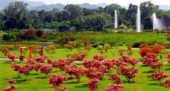 上海办公装修公司:手工珠宝制作:小巧精致的美丽艺术品,第1张 上海办公装修公司:手工珠宝制作:小巧精致的美丽艺术品,上海办公装修公司:手工珠宝制作:小巧精致的美丽艺术品,第1张