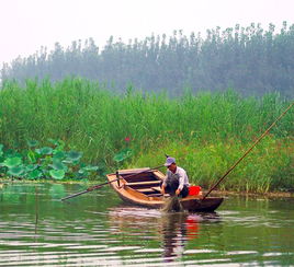 办公室设计公司：专业施工必备：深入了解地基设备中的地基打桩机,办公室设计公司：专业施工必备：深入了解地基设备中的地基打桩机,第1张