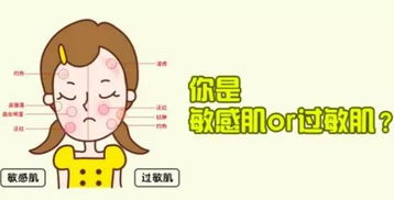 中高档办公室装修:穿过东三环,远离闹市——长虹桥的城市记忆,第3张 中高档办公室装修:穿过东三环,远离闹市——长虹桥的城市记忆,中高档办公室装修:穿过东三环,远离闹市——长虹桥的城市记忆,第3张