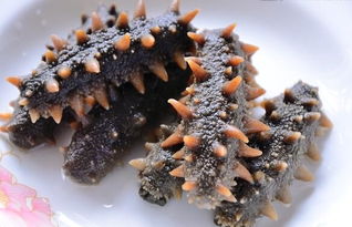 海参泡发的正确方法(海参泡发方法和时间),第3张 海参泡发的正确方法(海参泡发方法和时间),海参泡发的正确方法(海参泡发方法和时间),第3张