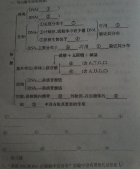 皮肤科问答题(皮肤科试题填空题),第1张 皮肤科问答题(皮肤科试题填空题),皮肤科问答题(皮肤科试题填空题),第1张