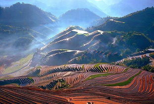 阳朔龙脊梯田(阳朔龙脊梯田图片),第2张 阳朔龙脊梯田(阳朔龙脊梯田图片),阳朔龙脊梯田(阳朔龙脊梯田图片),第2张