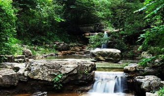 鸡腰子(鸡腰子怎么做好吃),第1张 鸡腰子(鸡腰子怎么做好吃),鸡腰子(鸡腰子怎么做好吃),第1张