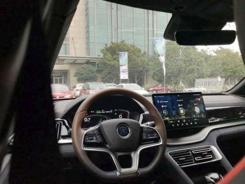 什么牌子的电子狗好(什么牌子的电子狗好一点),第2张 什么牌子的电子狗好(什么牌子的电子狗好一点),什么牌子的电子狗好(什么牌子的电子狗好一点),第2张