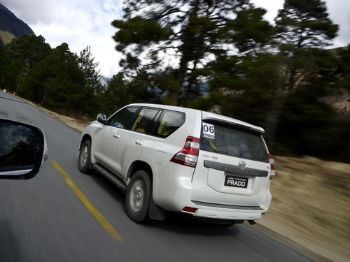 燕窝的功效与作用(燕窝的功效与作用及营养知乎),第2张 燕窝的功效与作用(燕窝的功效与作用及营养知乎),燕窝的功效与作用(燕窝的功效与作用及营养知乎),第2张