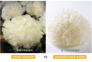 飞机打多了是肾阴虚吗(熬夜飞机打多了是肾阴虚吗),第2张 飞机打多了是肾阴虚吗(熬夜飞机打多了是肾阴虚吗),飞机打多了是肾阴虚吗(熬夜飞机打多了是肾阴虚吗),第2张