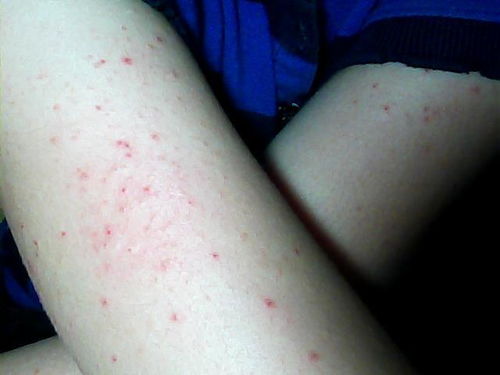 alfaromeo是什么车(alfaromeo是什么车标志双色球2023006),第3张 alfaromeo是什么车(alfaromeo是什么车标志双色球2023006),alfaromeo是什么车(alfaromeo是什么车标志双色球2023006),第3张