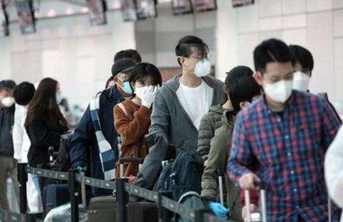 凉拌圆白菜怎么做好吃(凉拌圆白菜做法窍门),第2张 凉拌圆白菜怎么做好吃(凉拌圆白菜做法窍门),凉拌圆白菜怎么做好吃(凉拌圆白菜做法窍门),第2张