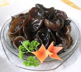 木耳(木耳的功效与作用),第2张 木耳(木耳的功效与作用),木耳(木耳的功效与作用),第2张