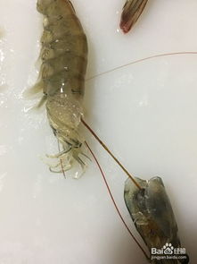 装修设计:探秘屋顶排水系统的设计与功能,第3张 装修设计:探秘屋顶排水系统的设计与功能,装修设计:探秘屋顶排水系统的设计与功能,第3张