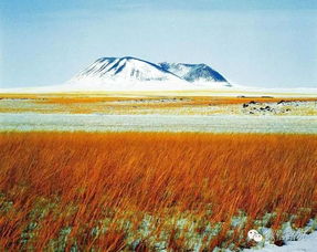 生鱼图片(生鱼图片片配料),第3张 生鱼图片(生鱼图片片配料),生鱼图片(生鱼图片片配料),第3张