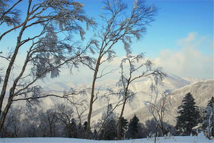 力帆620怎么样(力帆62016),第1张 力帆620怎么样(力帆62016),力帆620怎么样(力帆62016),第1张