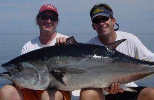 中国靠前最干净鱼(中国靠前最干净鱼种),第3张 中国靠前最干净鱼(中国靠前最干净鱼种),中国靠前最干净鱼(中国靠前最干净鱼种),第3张