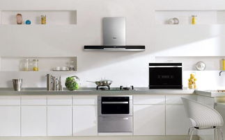 下吸式抽油烟机(下抽式抽油烟机的缺点),第2张 下吸式抽油烟机(下抽式抽油烟机的缺点),下吸式抽油烟机(下抽式抽油烟机的缺点),第2张