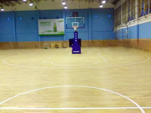 安信地板有毒（篮球馆地板价格一般多少钱）,安信地板有毒（篮球馆地板价格一般多少钱）,第3张