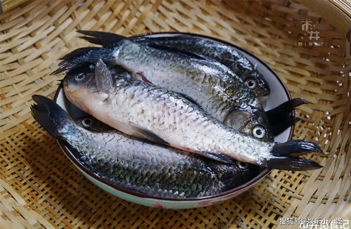 中央机关及其直属机构2022(国家部委公务员好考吗),第2张 中央机关及其直属机构2022(国家部委公务员好考吗),中央机关及其直属机构2022(国家部委公务员好考吗),第2张