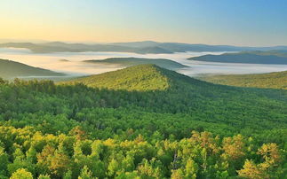 装修报价:探究机械式温度计的构造及测温原理,第3张 装修报价:探究机械式温度计的构造及测温原理,装修报价:探究机械式温度计的构造及测温原理,第3张