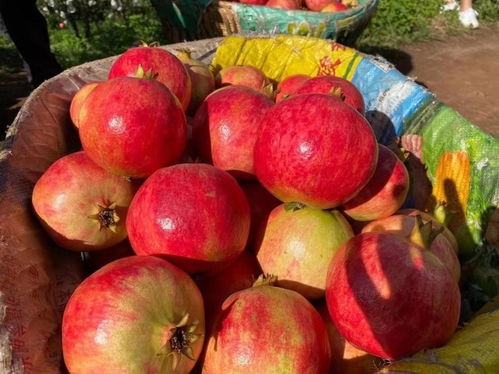 上海办公楼装修公司:从丽园装饰了解如何打造属于你的理想家园,第2张 上海办公楼装修公司:从丽园装饰了解如何打造属于你的理想家园,上海办公楼装修公司:从丽园装饰了解如何打造属于你的理想家园,第2张