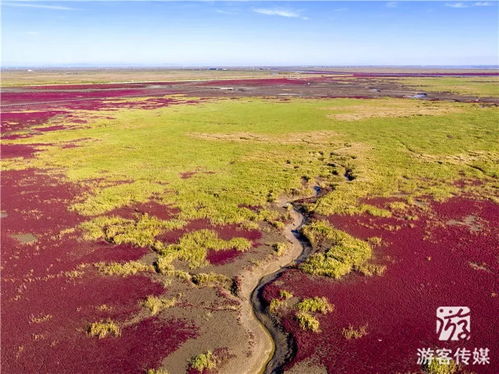 盘锦红海滩简介（盘锦红海滩简介景区）,盘锦红海滩简介（盘锦红海滩简介景区）,第3张