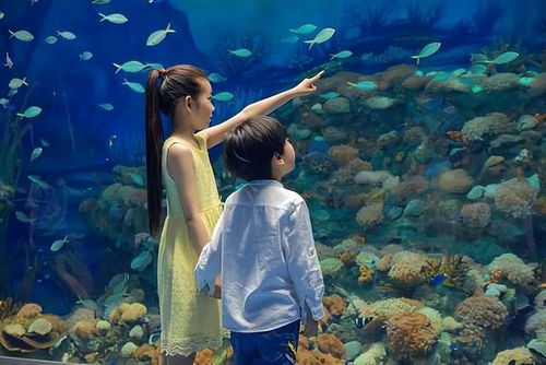 大连圣亚海洋世界一日游攻略(为啥说尽量别带孩子去海洋馆),第1张 大连圣亚海洋世界一日游攻略(为啥说尽量别带孩子去海洋馆),大连圣亚海洋世界一日游攻略(为啥说尽量别带孩子去海洋馆),第1张