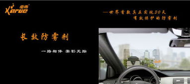 上海办公装修设计:如何养护滴水观音才能让它长得更健康?,第1张 上海办公装修设计:如何养护滴水观音才能让它长得更健康?,上海办公装修设计:如何养护滴水观音才能让它长得更健康?,第1张