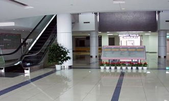 上海留学体检中心电话(上海留学体检中心电话地址),第3张 上海留学体检中心电话(上海留学体检中心电话地址),上海留学体检中心电话(上海留学体检中心电话地址),第3张