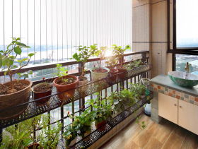 阳台绿植装修(阳台绿植装修设计),第3张 阳台绿植装修(阳台绿植装修设计),阳台绿植装修(阳台绿植装修设计),第3张