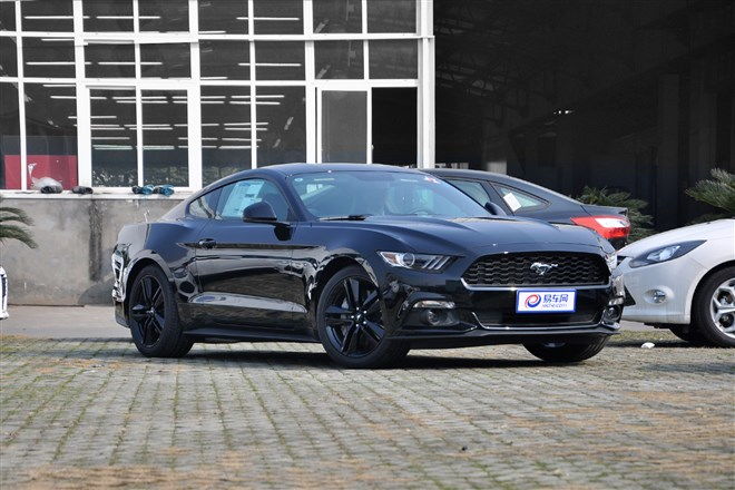 野马眼镜蛇的简单介绍,野马眼镜蛇的简单介绍,第1张