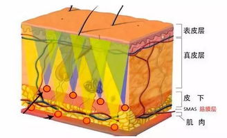 皮肤比较厚怎么办(皮肤细胞膜过厚怎么办),第2张 皮肤比较厚怎么办(皮肤细胞膜过厚怎么办),皮肤比较厚怎么办(皮肤细胞膜过厚怎么办),第2张