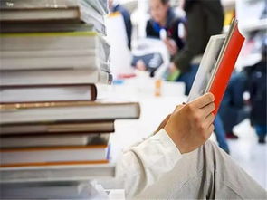 办公室复原:混凝土配合比设计中值法和极差法的应用与比较,第1张 办公室复原:混凝土配合比设计中值法和极差法的应用与比较,办公室复原:混凝土配合比设计中值法和极差法的应用与比较,第1张