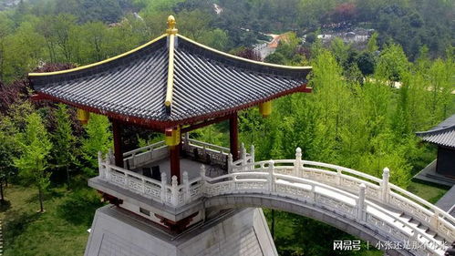 2021年春节高速免费时间(2021年春节高速免费时间是多少),第2张 2021年春节高速免费时间(2021年春节高速免费时间是多少),2021年春节高速免费时间(2021年春节高速免费时间是多少),第2张