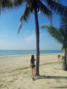 分界洲岛和蜈支洲岛哪个好的简单介绍,第2张 分界洲岛和蜈支洲岛哪个好的简单介绍,分界洲岛和蜈支洲岛哪个好的简单介绍,第2张