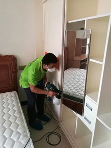 室内除甲醛费用(室内除甲醛费用高吗),第2张 室内除甲醛费用(室内除甲醛费用高吗),室内除甲醛费用(室内除甲醛费用高吗),第2张